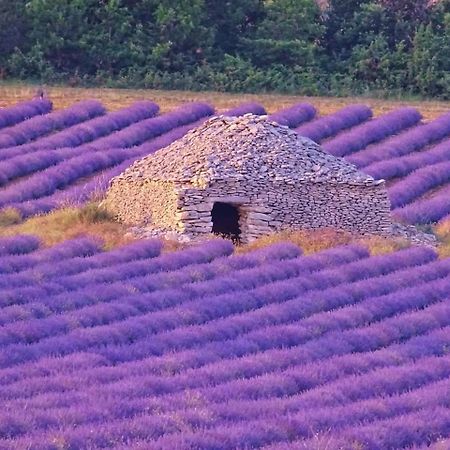 Entre Ventoux Et Luberon Chambre D'Hote Со-де-Воклюз Экстерьер фото