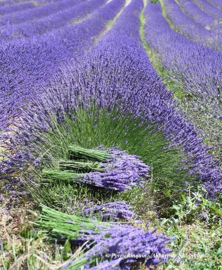 Entre Ventoux Et Luberon Chambre D'Hote Со-де-Воклюз Экстерьер фото